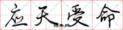 应天受命怎么写好看，应天受命书法图片