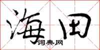 海田怎么写好看，海田书法图片