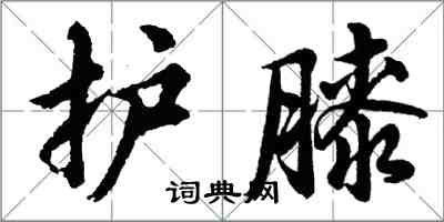 胡问遂护膝行书怎么写