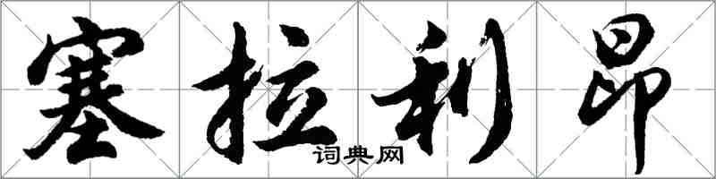 胡问遂塞拉利昂行书怎么写