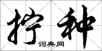 胡问遂拧种行书怎么写