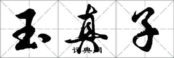 胡问遂玉真子行书怎么写