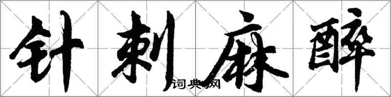 胡问遂针刺麻醉行书怎么写