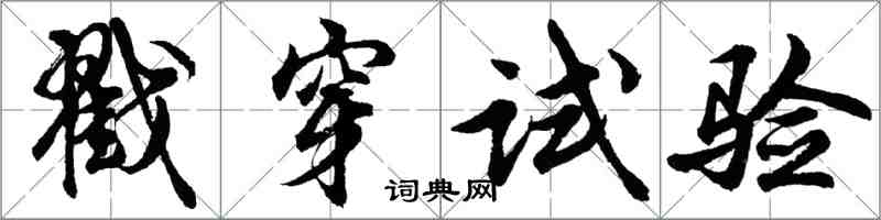 胡问遂戳穿试验行书怎么写