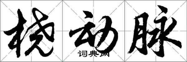 胡问遂桡动脉行书怎么写