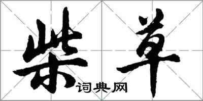 胡问遂柴草行书怎么写