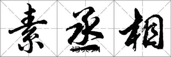 胡问遂素丞相行书怎么写