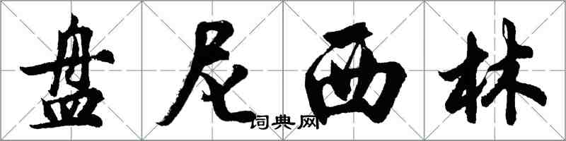 胡问遂盘尼西林行书怎么写