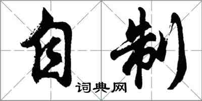 胡问遂自制行书怎么写