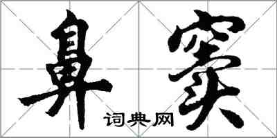 胡问遂鼻窦行书怎么写