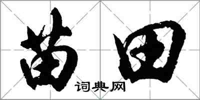 胡问遂苗田行书怎么写