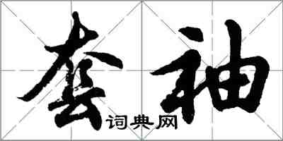 胡问遂套袖行书怎么写