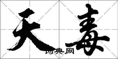 胡问遂天毒行书怎么写