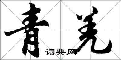 胡问遂青羌行书怎么写