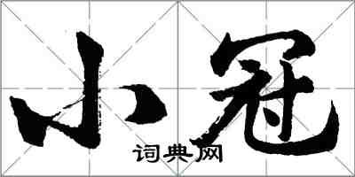 胡问遂小冠行书怎么写