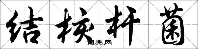 胡问遂结核杆菌行书怎么写