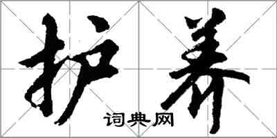 胡问遂护养行书怎么写