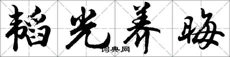 胡问遂韬光养晦行书怎么写