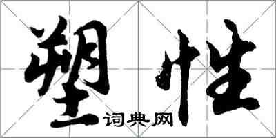 胡问遂塑性行书怎么写