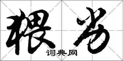 胡问遂猥劣行书怎么写