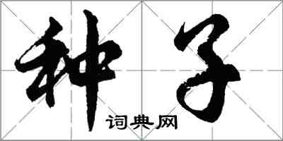 胡问遂种子行书怎么写