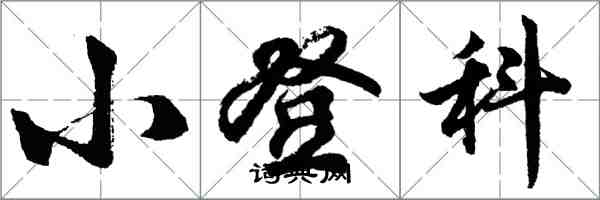 胡问遂小登科行书怎么写