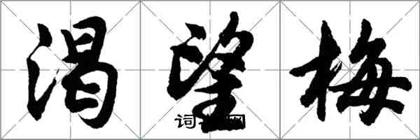 胡问遂渴望梅行书怎么写