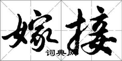 胡问遂嫁接行书怎么写