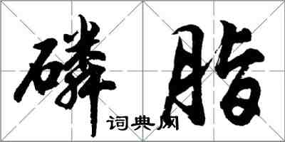 胡问遂磷脂行书怎么写