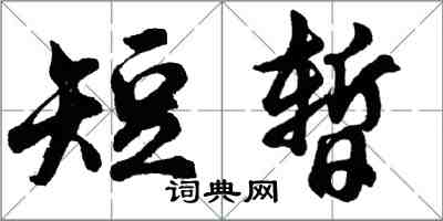 胡问遂短暂行书怎么写