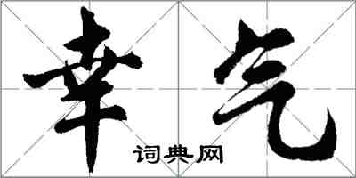 胡问遂幸气行书怎么写