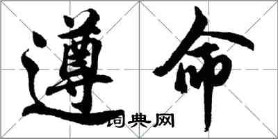 胡问遂遵命行书怎么写