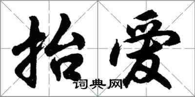 胡问遂抬爱行书怎么写