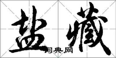 胡问遂盐藏行书怎么写