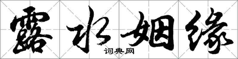 胡问遂露水姻缘行书怎么写