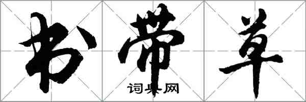 胡问遂书带草行书怎么写