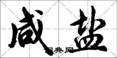 胡问遂咸盐行书怎么写