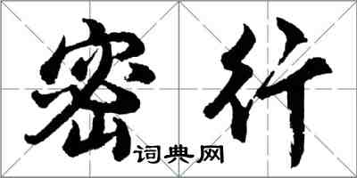 胡问遂密行行书怎么写