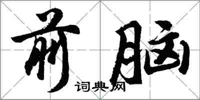 胡问遂前脑行书怎么写