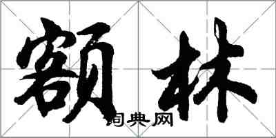 胡问遂额林行书怎么写