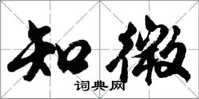 胡问遂知微行书怎么写