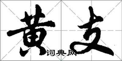 胡问遂黄支行书怎么写