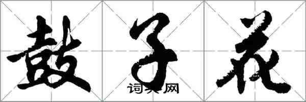 胡问遂鼓子花行书怎么写