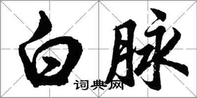 胡问遂白脉行书怎么写