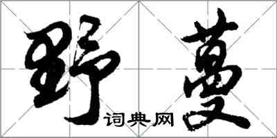 胡问遂野蔓行书怎么写