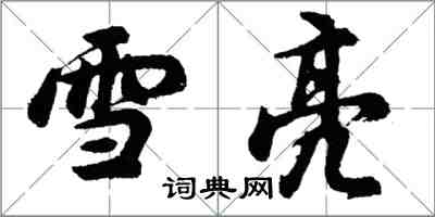 胡问遂雪亮行书怎么写