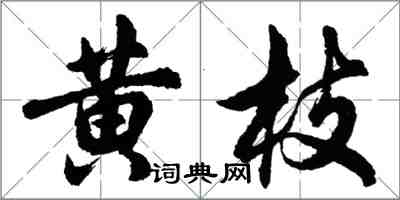 胡问遂黄枝行书怎么写