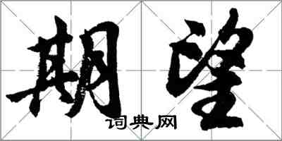 胡问遂期望行书怎么写