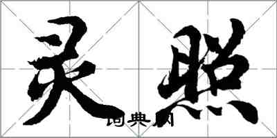 胡问遂灵照行书怎么写