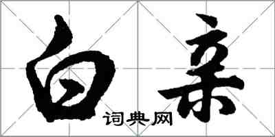 胡问遂白亲行书怎么写